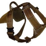 Horton's Recon Harness
