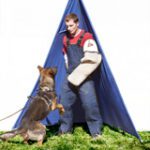SCHUTZHUND - BLINDS - SET OF SIX - 8'