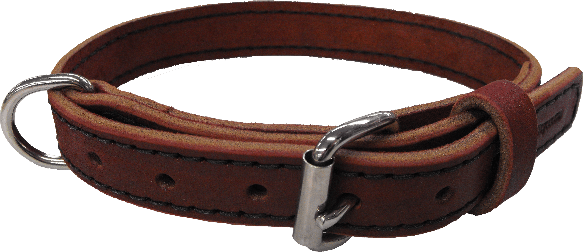 1" Leather Dog collar