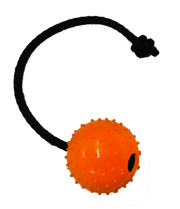 BALL ON A ROPE 2 5/8"
