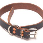 Belgian Agitation Collar