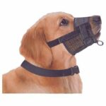MESH MUZZLE