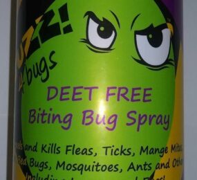 Buzz 4 Bugs Spray
